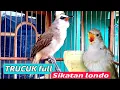 Download Lagu INI TRUCUK LHO ,, BUKAN SIKATAN LONDO