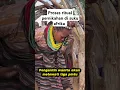 Download Lagu proses ritual pernikahan di suku afrika #reactionvideos #adventures #africa #motivation #shorts