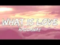 Download Lagu Haddaway - What Is Love (Official Lyrics Video)