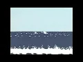 [Lo-Fi House] Bruce Trail - Only Sea