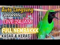 Lagu FULL Nembak Panjang-Panjang - Cucak Ijo Ngotot bongkar Isian Kasar
