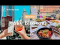 Sky Blossom in Dallas - Review
