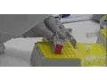 Precision Genomics Lab Tour