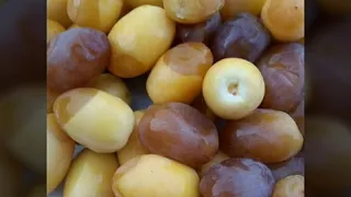 ما بتقدري الشاعر شرف الدين علي باتا دندنها