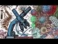 Microscopy topic is explained clearly and step by step