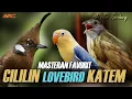 Download Lagu MASTERAN  KAPAS TEMBAK - LOVEBIRD - CILILIN - CUCAK JENGGOT | SUPER NEMBAK