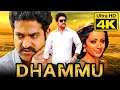Lagu Dhammu (4K) Telugu Hindi Dubbed Full Movie | Jr. NTR, Trisha Krishnan, Karthika Nair