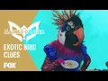 Download Lagu The Clues: Exotic Bird | Season 1 Ep. 4 | THE MASKED DANCER