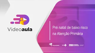 Videoaula: Pré natal de baixo risco na Atenção Primária