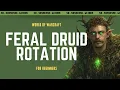 Feral Druid Basic Rotation New Player Friendly - No-Nonsense Guide