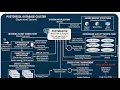 Postmaster Process