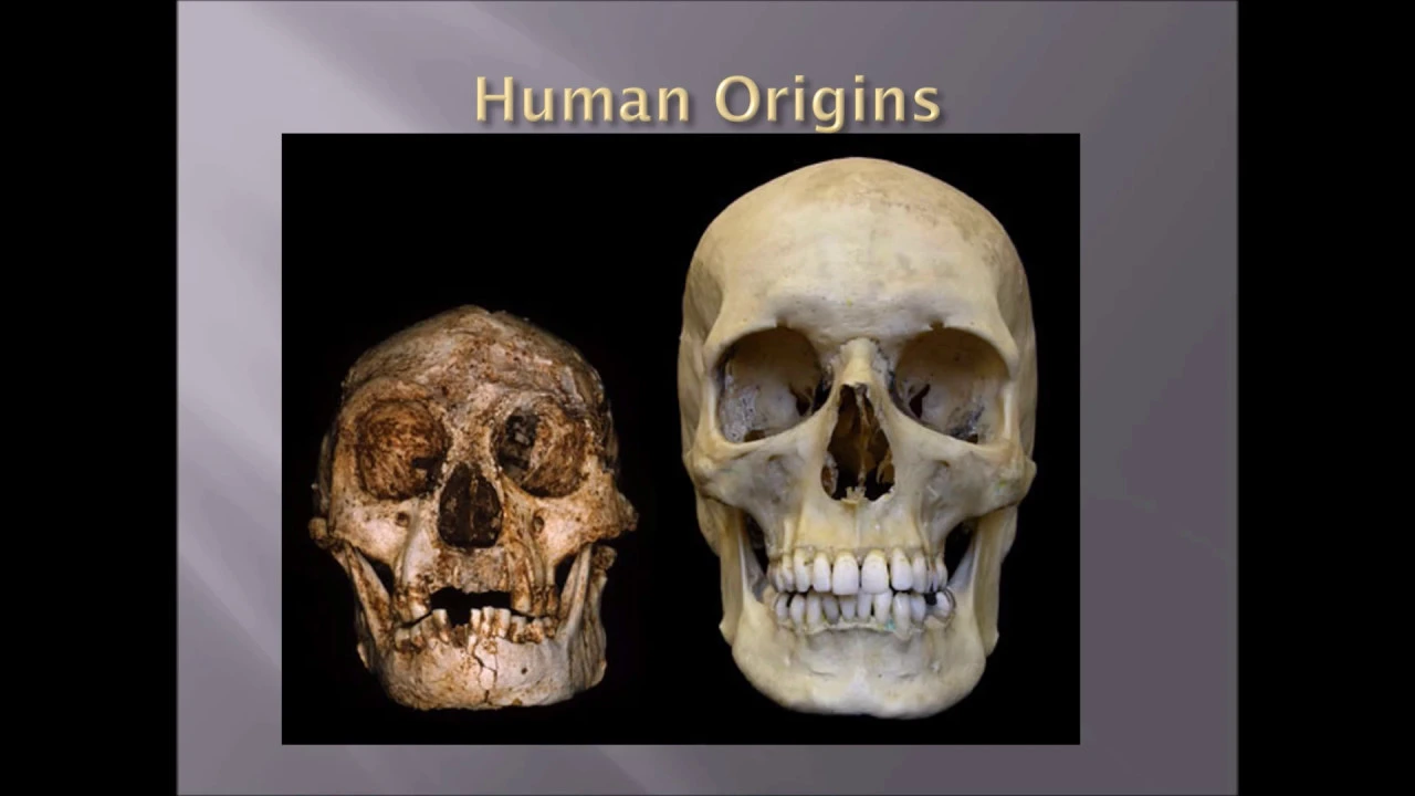 Intro to Physical Anthropology