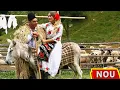 Download Lagu Frumoasa-i viata de cioban - Colaj cantece de ciobanie (NOU 2023)