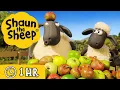 Download Lagu Shaun the Sheep Season 4 🐑 All Episodes (21-30) 🤪 Role Play \u0026 The Crazy Goat 🐐 Cartoons for Kids