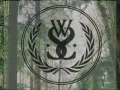 'Four Walls' - While She Sleeps | Subtitulado al español.