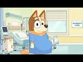 Baby Bluey Is Born Chilli is Pregnant - Funny Parody Animation