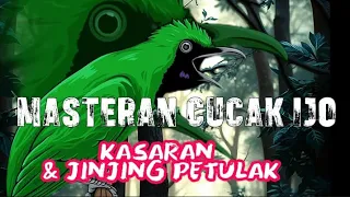 materi isian cucak ijo kasar dan jinjing petulak