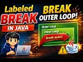 Labeled Break in Java Explained