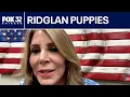 Final 155 Beagles rescued from Ridglan Farms ChicagoLIVE