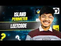 463 Island Perimeter No BFS or DFS With DFS With BFS