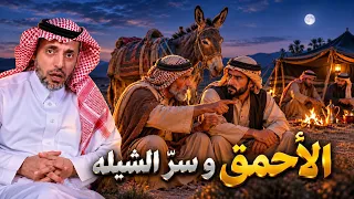 الأحمق ،، وسرّ الشيله
