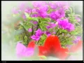 Asraff - Gembala Cinta (Official Video)