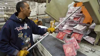 USPS Whats A Mail Handler Assistant