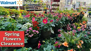 Walmart Garden Mini Roses Berries Vines Succulent Peony Hydrangea Tropical Flowers Perennial