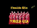 Download Lagu POWER AUDIO - TERGILA GILA - NASIDA RIA SEMARANG
