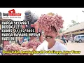 Lagu HARGA SELANGIT BOSSKU...!!! HARGA BAWANG MERAH HARI INI DIPASAR BAWANG PROBOLINGGO, KAMIS,11/12/2025