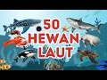 Download Lagu Belajar 50 Nama-nama Hewan Laut untuk Anak-anak | Mengenal Nama-nama Ikan Laut | Video Edukasi Anak