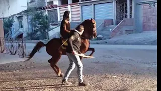 انا مبطبعش بطبع حد علشان مفيش قوانين بتحكمني انا دماغي تحكم جمهورية بنت ابوها 