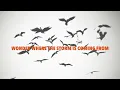 Sons Of The East - Rescue Me (Lyric Video)