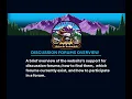 Discussion Forums Overview