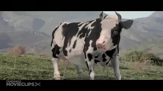 عوا کراټه دندنها