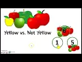 Grade 1 Module 1 Lesson 4