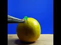 Lagu LED light lemon science experiment project / simple electronics science experiment #electronics