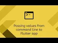 Passing values from command line to Flutter app