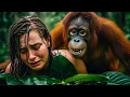 Download Lagu Life 2.5 Million Years Ago | Beauty With Kingkong And The Battle Against The Giant Black Python