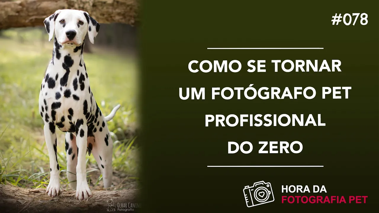 Como se tornar um fotógrafo pet profissional do zero  | Hora da fotografia Pet #78
