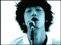 GRAPEVINE - Reverb
