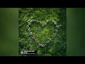 Download Lagu Kolya Funk, PHURS, Catching Sunrises - You’re My Heart, You’re My Soul