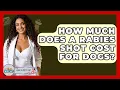 How Much Does A Rabies Shot Cost For Dogs - Ask A Pet Vet