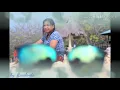 Download Lagu Beda Umur (jo knapa)