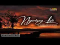 Download Lagu NYUMBANG LAKI | Ayu Karlina (Cover) Music Tarling Top