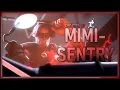 Creation of Mimi-Sentry SFM