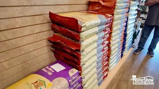 Which bird seed should you buy Expert answers