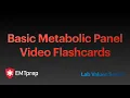 Lab Values - Basic Metabolic Panel