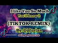 I Like you so much, you'll know it (TikTok Remix) | DjJurlan remix | Ysabella | TikTok viral 2020