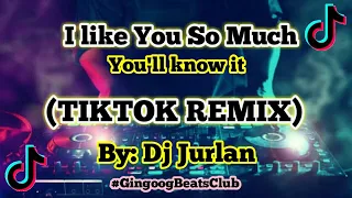 Download I Like you so much, you'll know it (TikTok Remix) | DjJurlan remix | Ysabella | TikTok viral 2020 MP3